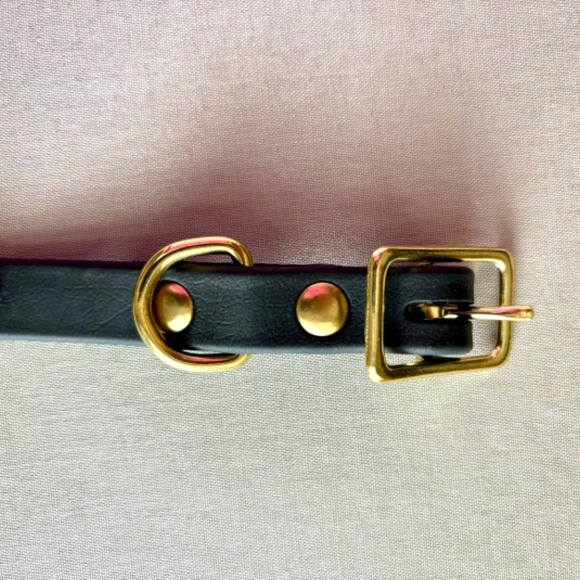 .dog collar , for small medium dog - Picture 3 of 4